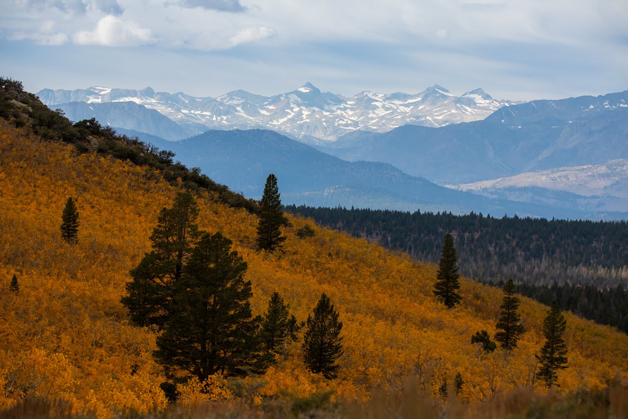 Mammoth Lakes Real Estate Market Update for November 2023