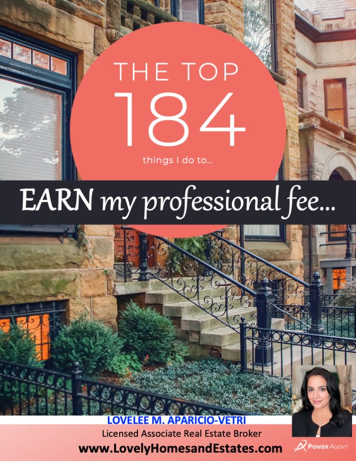 The 184 Things I do to EARN my Professional Fee...