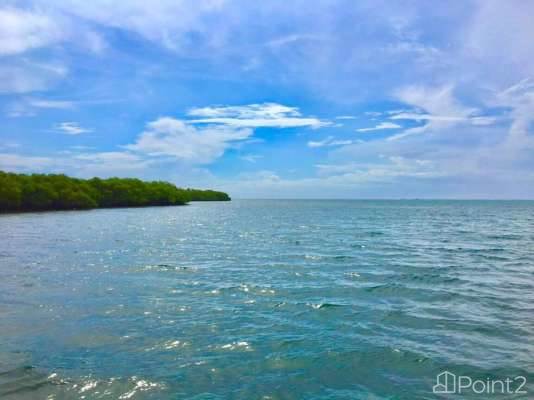 2-acre Slice of Island Paradise on North End of Cross Caye Belize