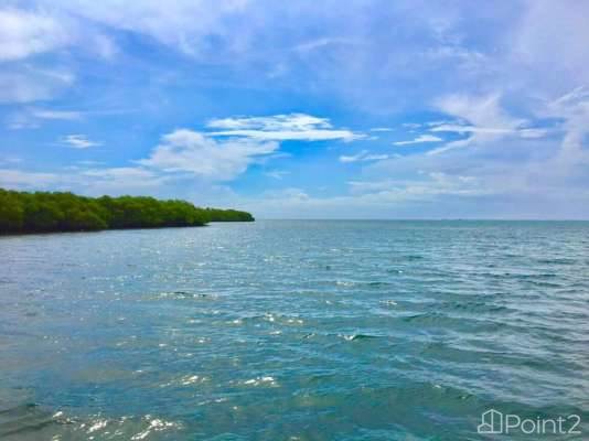 2-acre Slice of Island Paradise on North End of Cross Caye Belize