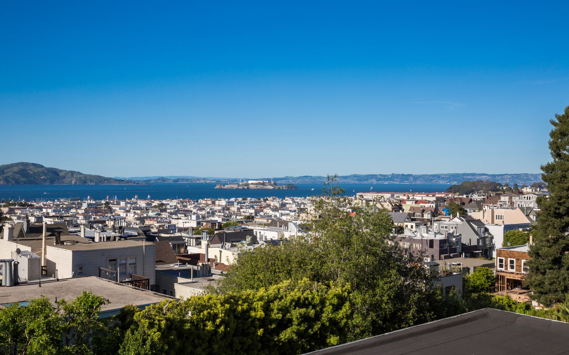 Contemporary Gem In Cow Hollow