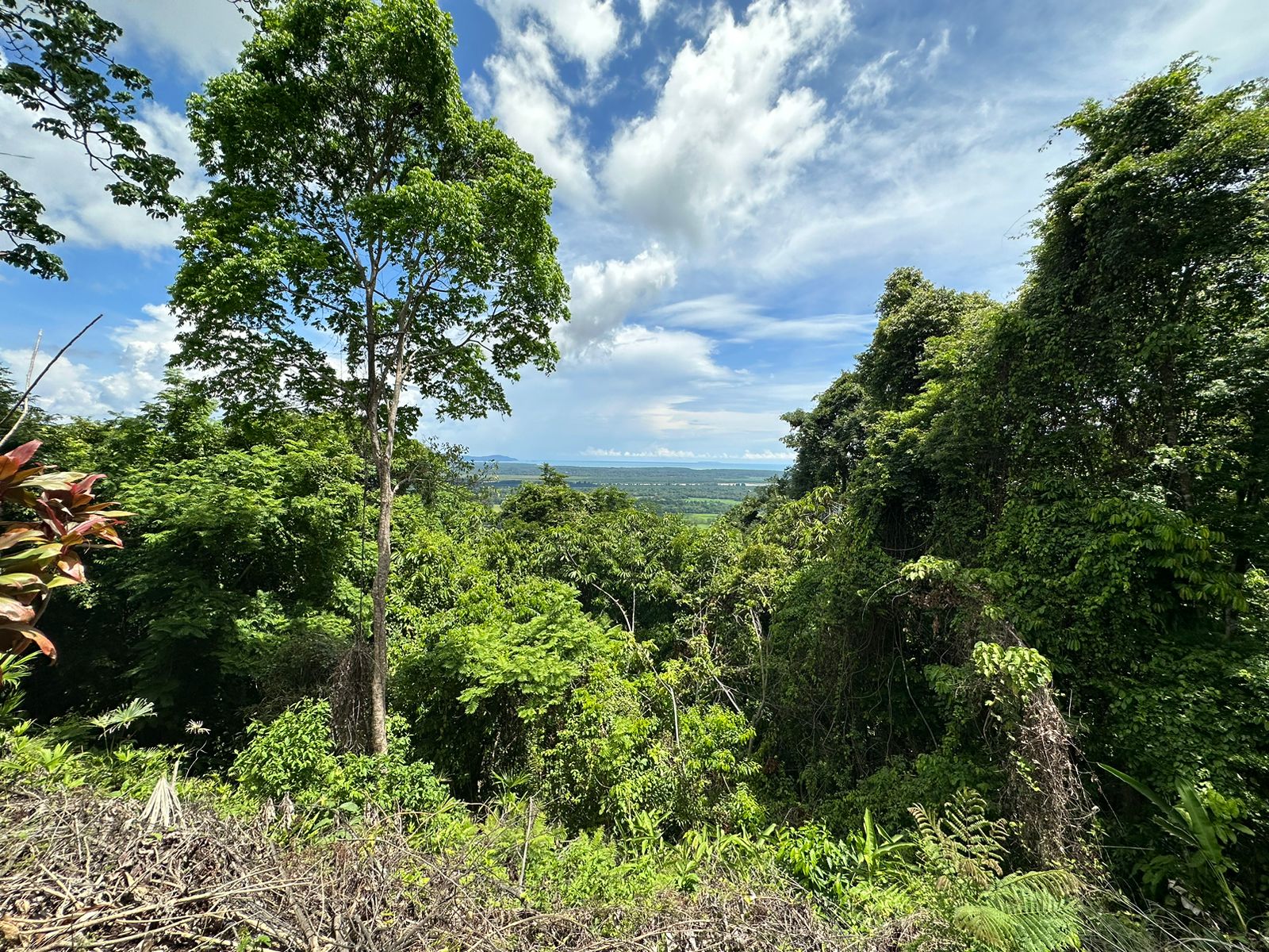 Ocean View Lot Priced to sell