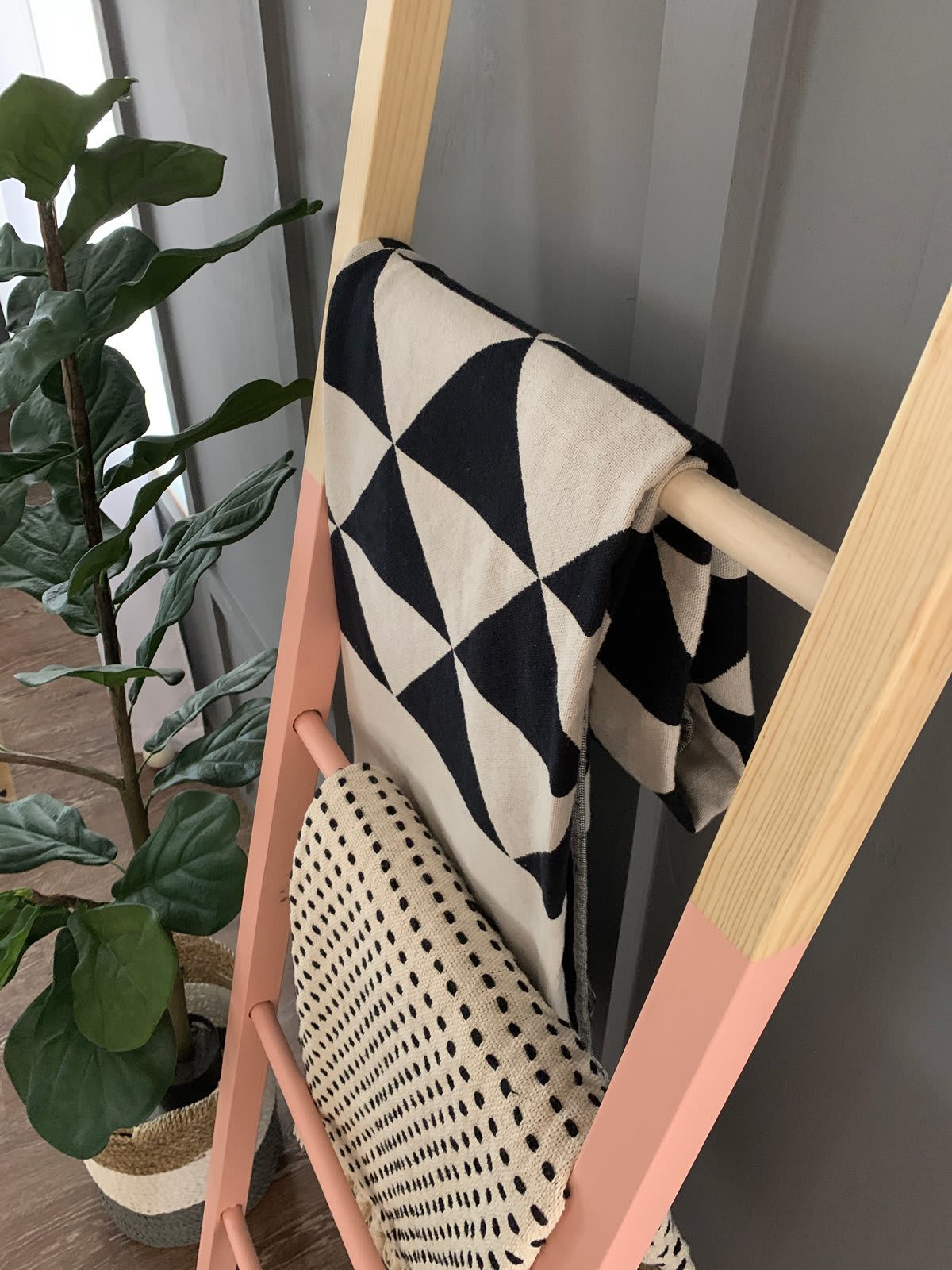 blanket ladder