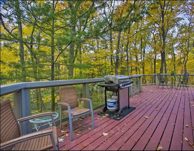 Tree House in The Homestead | Glen Arbor, Michigan