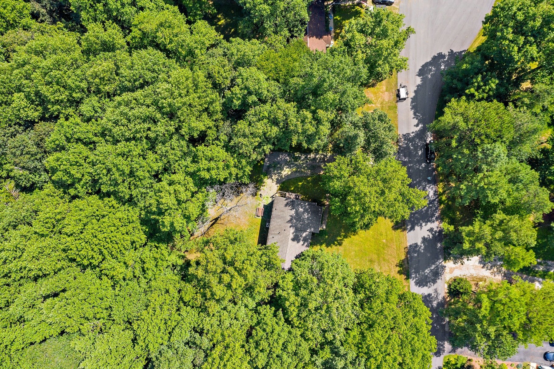 10149 Clearwood Road