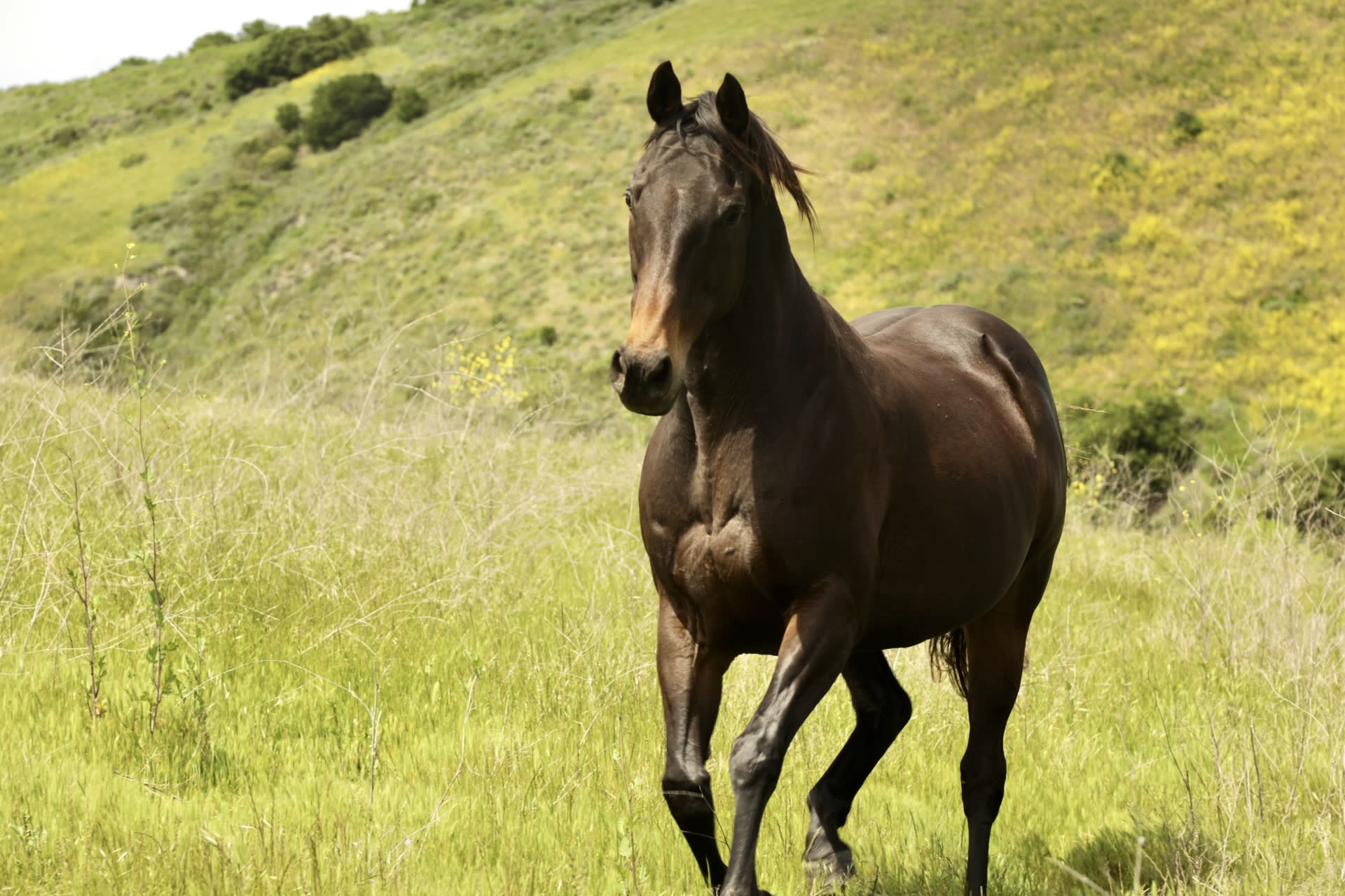 La Hoya Creek Ranch