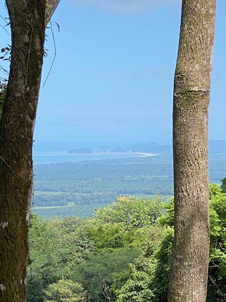 Rainforest Ridge Ocean View Ranch, Manuel Antonio, Puntarenas