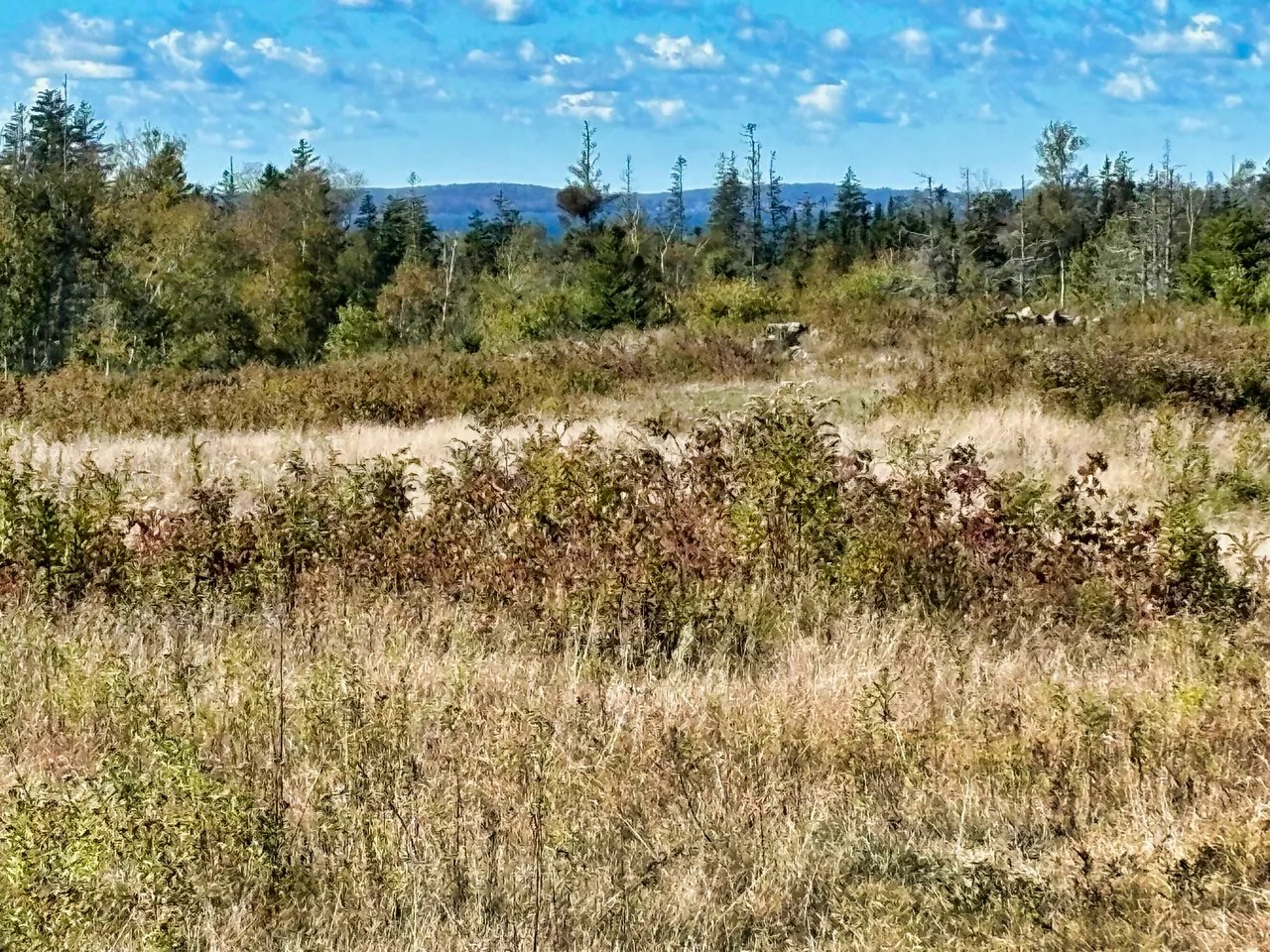 New Listing: 274 West District Road, North Haven, ME 04853 – $495,000