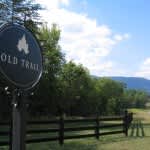 Nest Market Report: Old Trail 2008