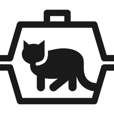 Cat in a pet carrier