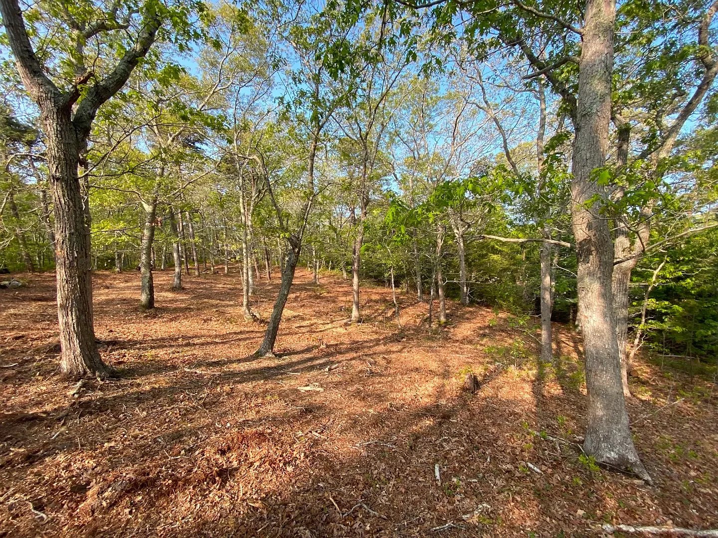 0 Crowell Ln LOT 3.4