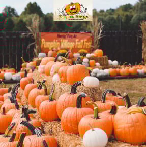 Top Pumpkin Patches around Northern Virginia