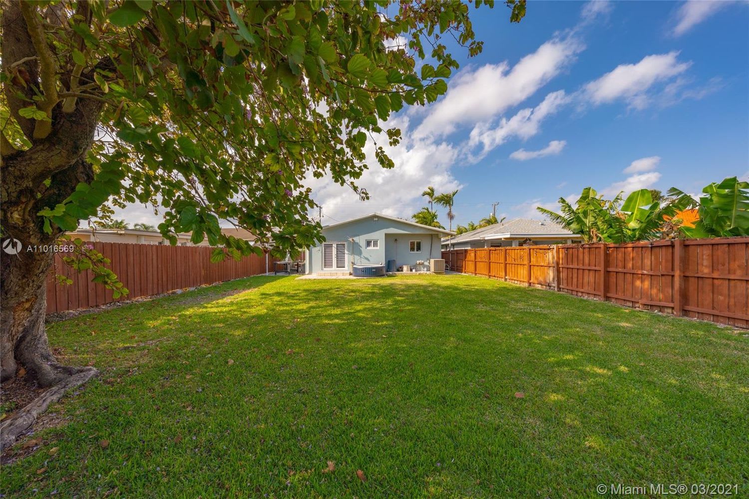 Fenced backyard with a broad lawn, mature shade tree, and light-blue house.