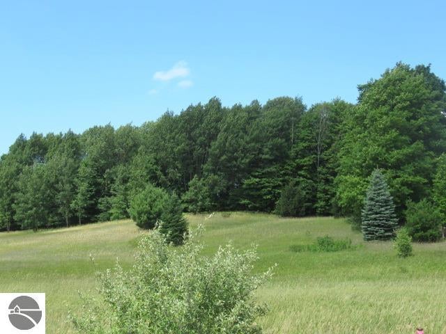 Buyer's Agent - Lot #3 2.03 Acres