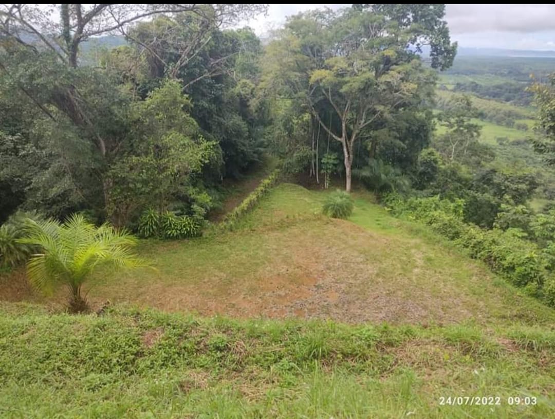 Stunning ocean views & great investment