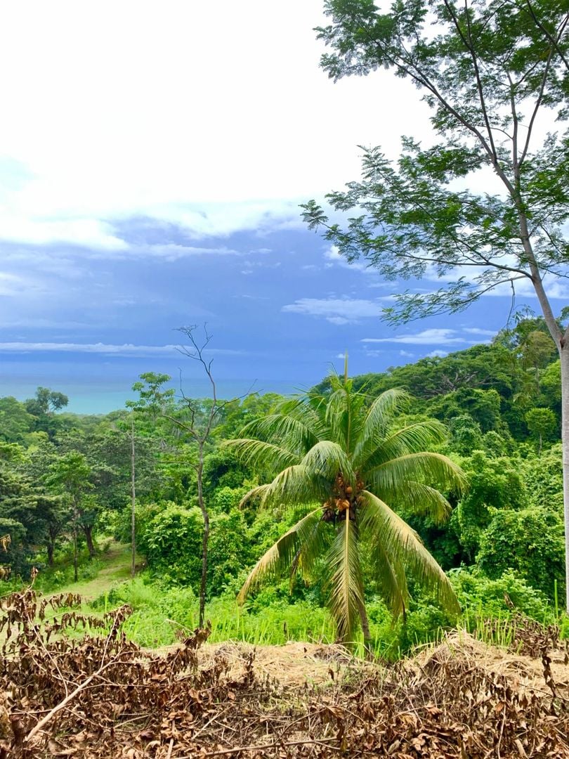 Triple Waterfall Ocean View Land, Dominical, Puntarenas