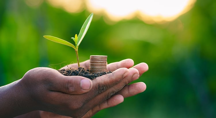 hands holding soil with a plant sprouting next to a stack of coins