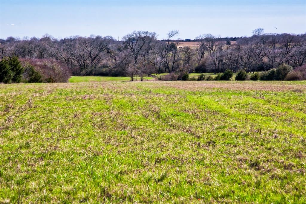 TBD Trackside Rd Chappell Hill, Tx 77426