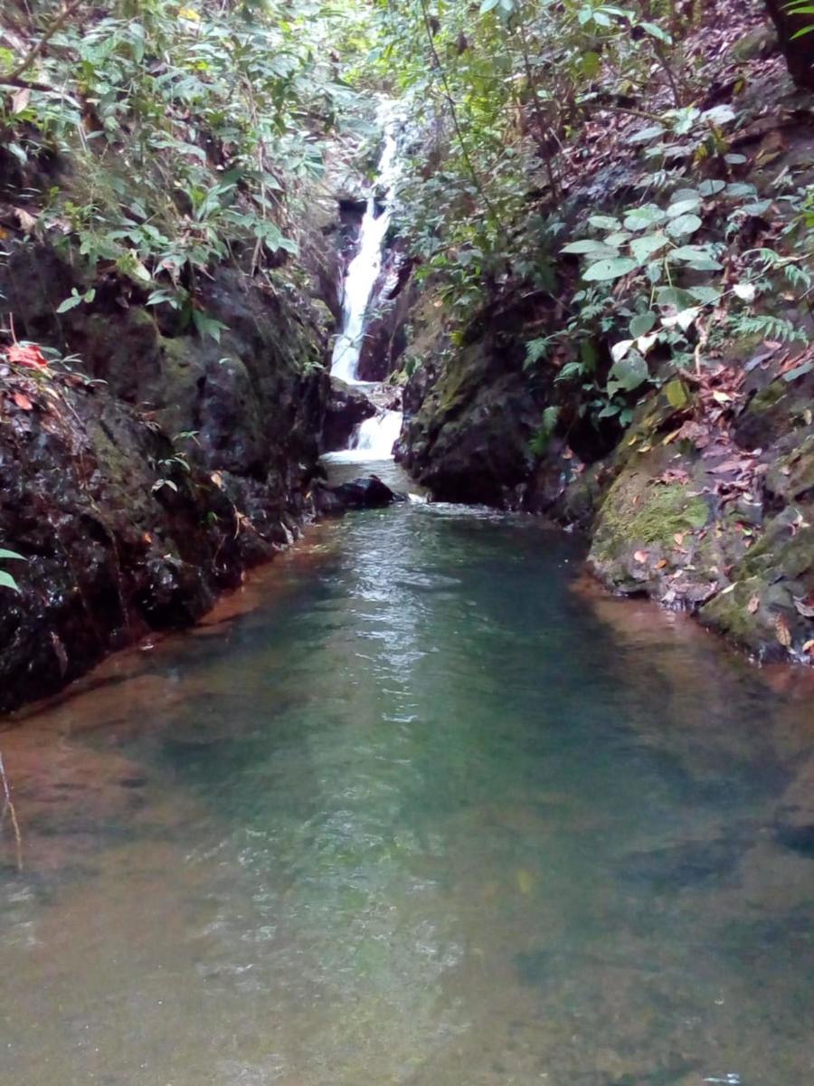 Waterfall Eco Development Land, Osa, Puntarenas