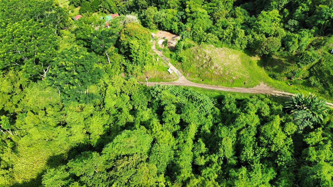 Expansive 1.74 Acre OCEAN VIEW lot w/2 large building sites