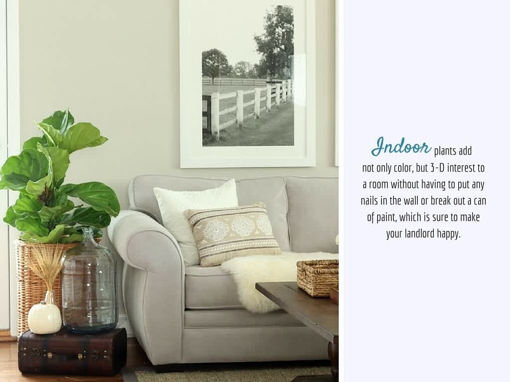The Design Corner | How to Decorate a Rental