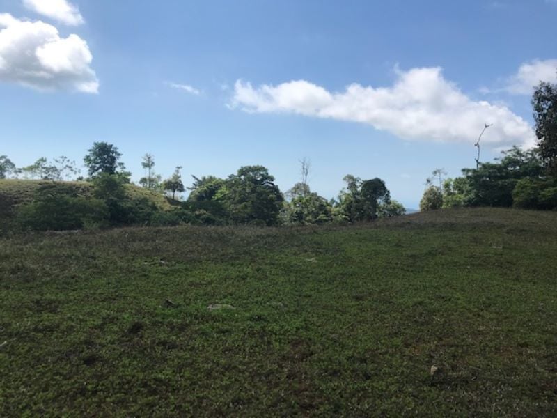 Spring Fed Ocean View Acreage, Uvita, Puntarenas