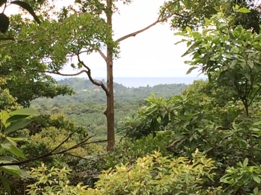 Prime Scenic Development Land, Manuel Antonio, Puntarenas
