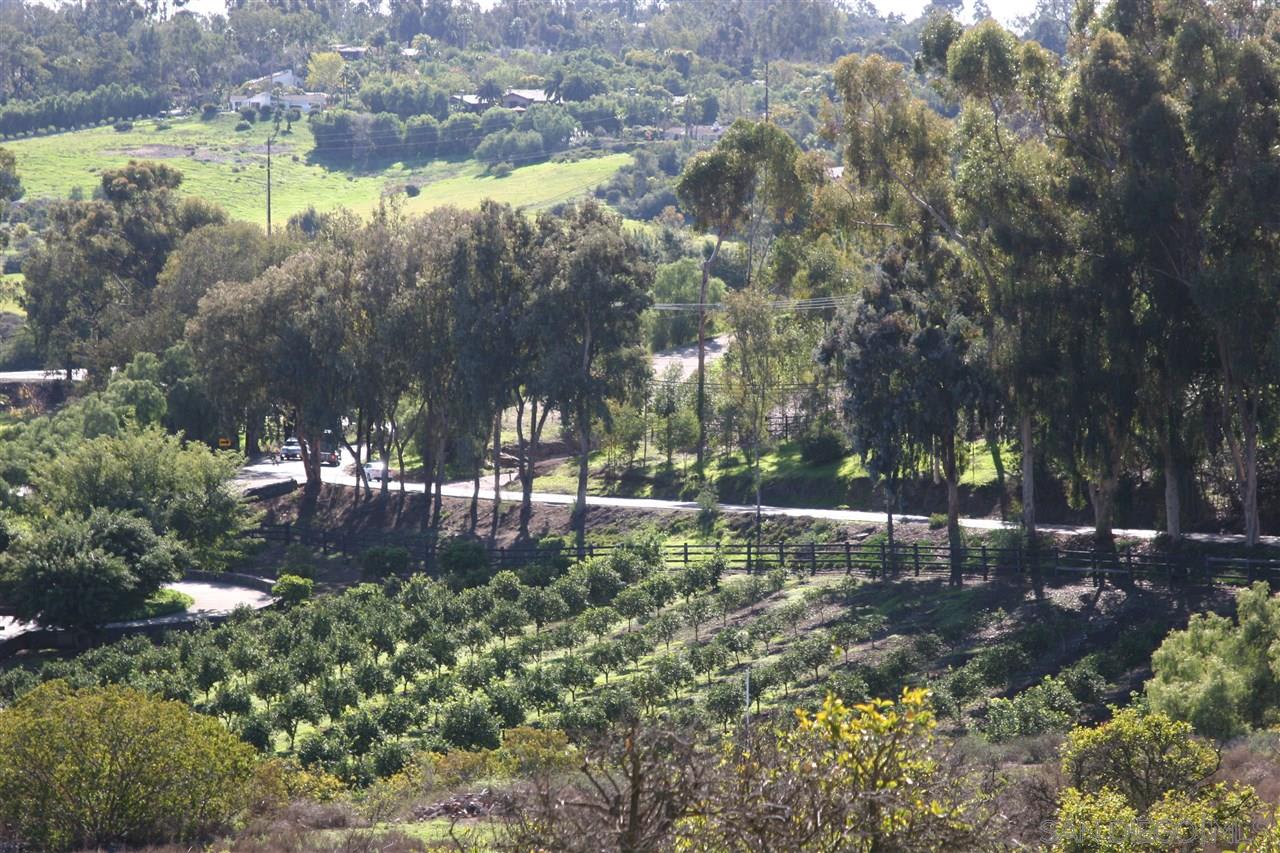 6922 El Camino Del Norte