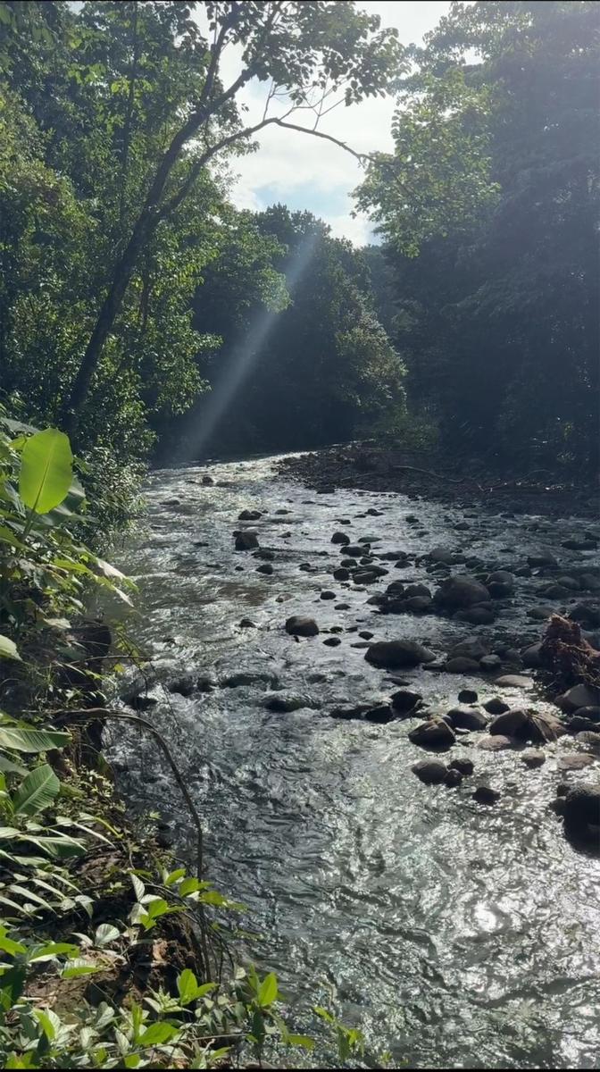 Private Riverfront Jungle Oasis, Ojochal, Puntarenas