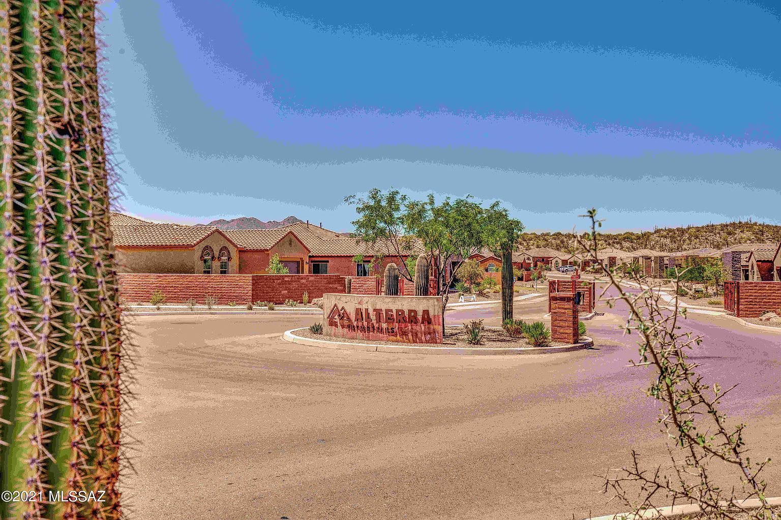13471 N Mariposa Lily Dr