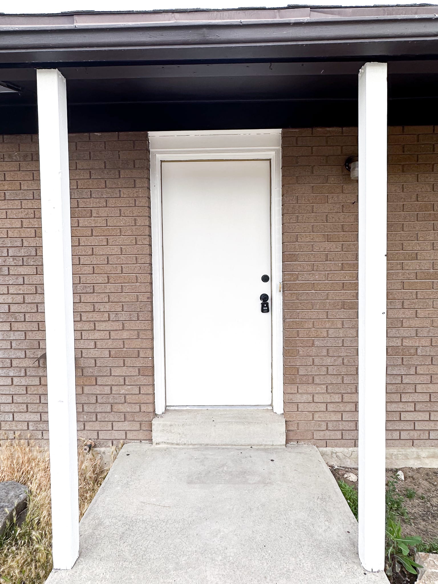 10229 S Amaryllis 