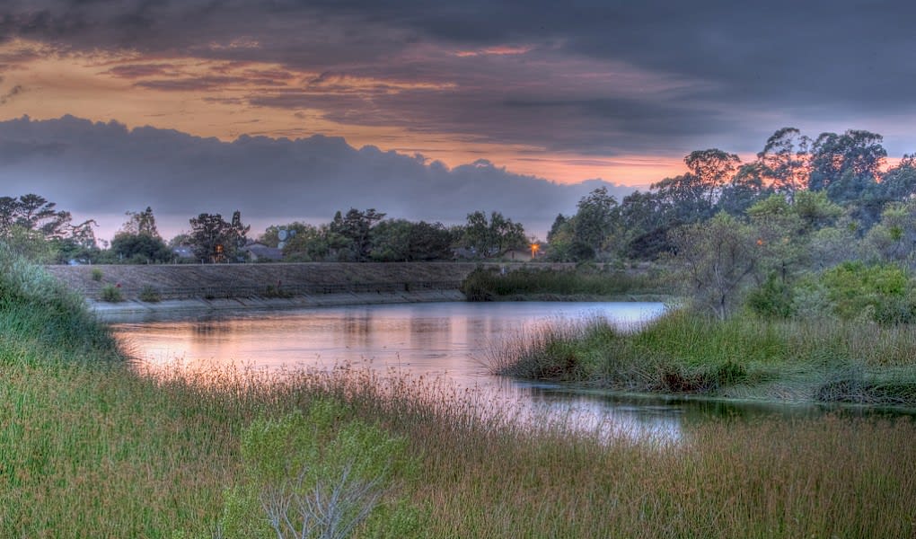 Goleta