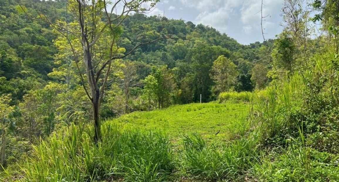 MonteCielo Riverfront Property