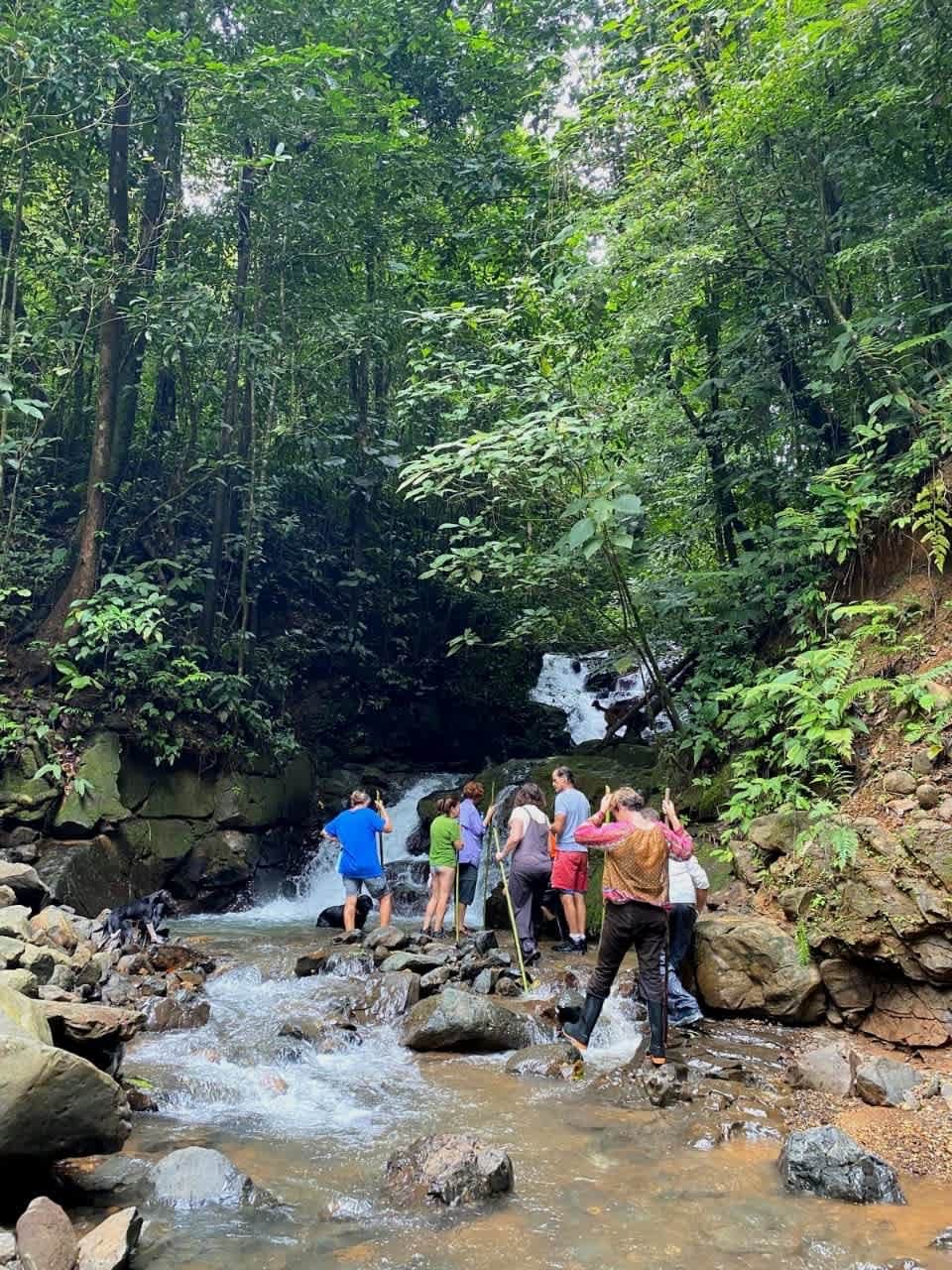 Biophilia Nature Preserve