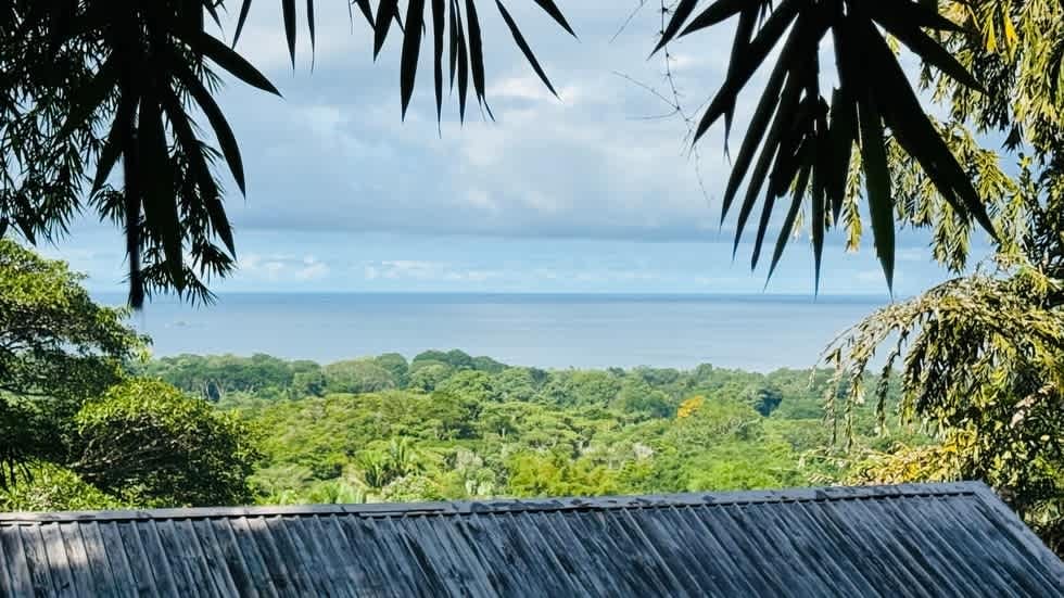 Tranquil Luxury Retreat with Stunning Ocean Views in Uvita