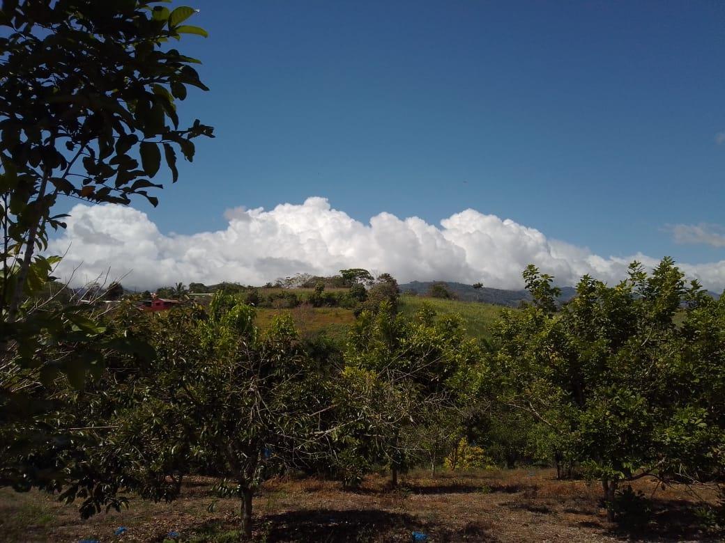 Mountain Fruit Farm Lagoon, Perez Zeledon, San Jose