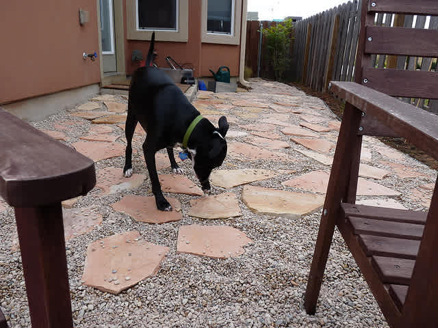 Patios 101: How to Pick the Perfect Patio for your Property