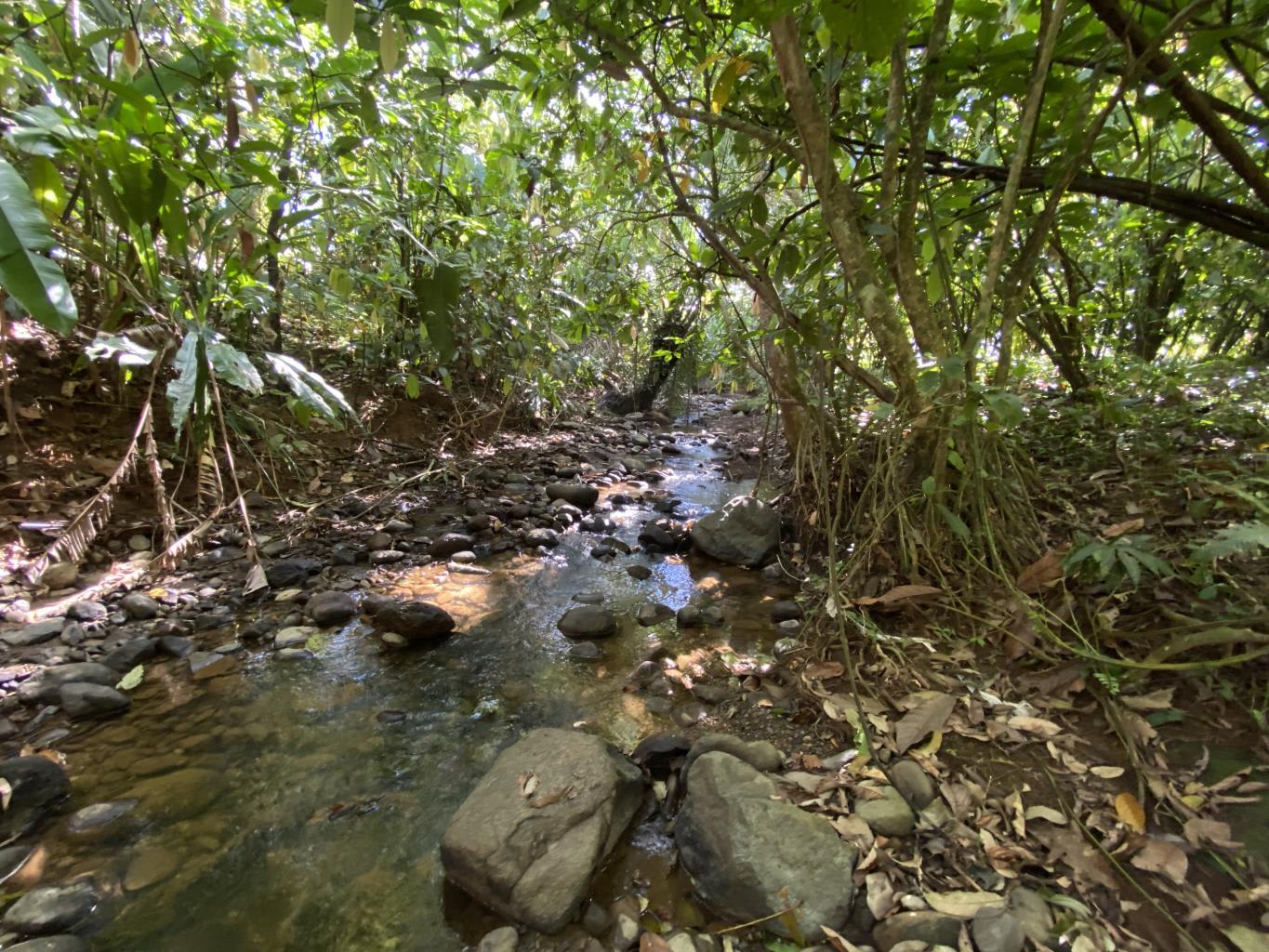 Flat And Usable Commercial Lot In The Heart Of Uvita With 90 Meters Paved Road Frontage!