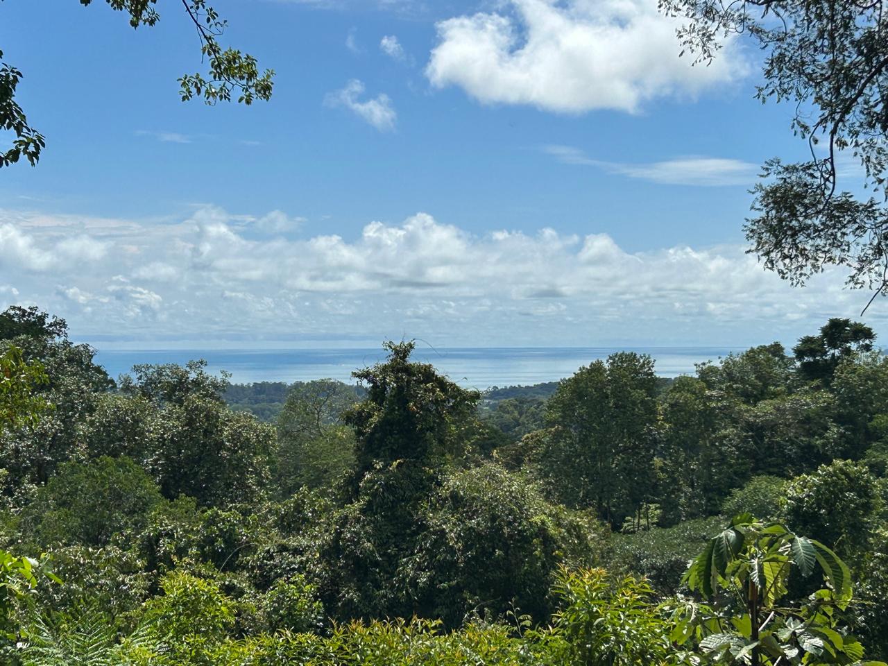 Marvelous Ocean View Parcel in Uvita.