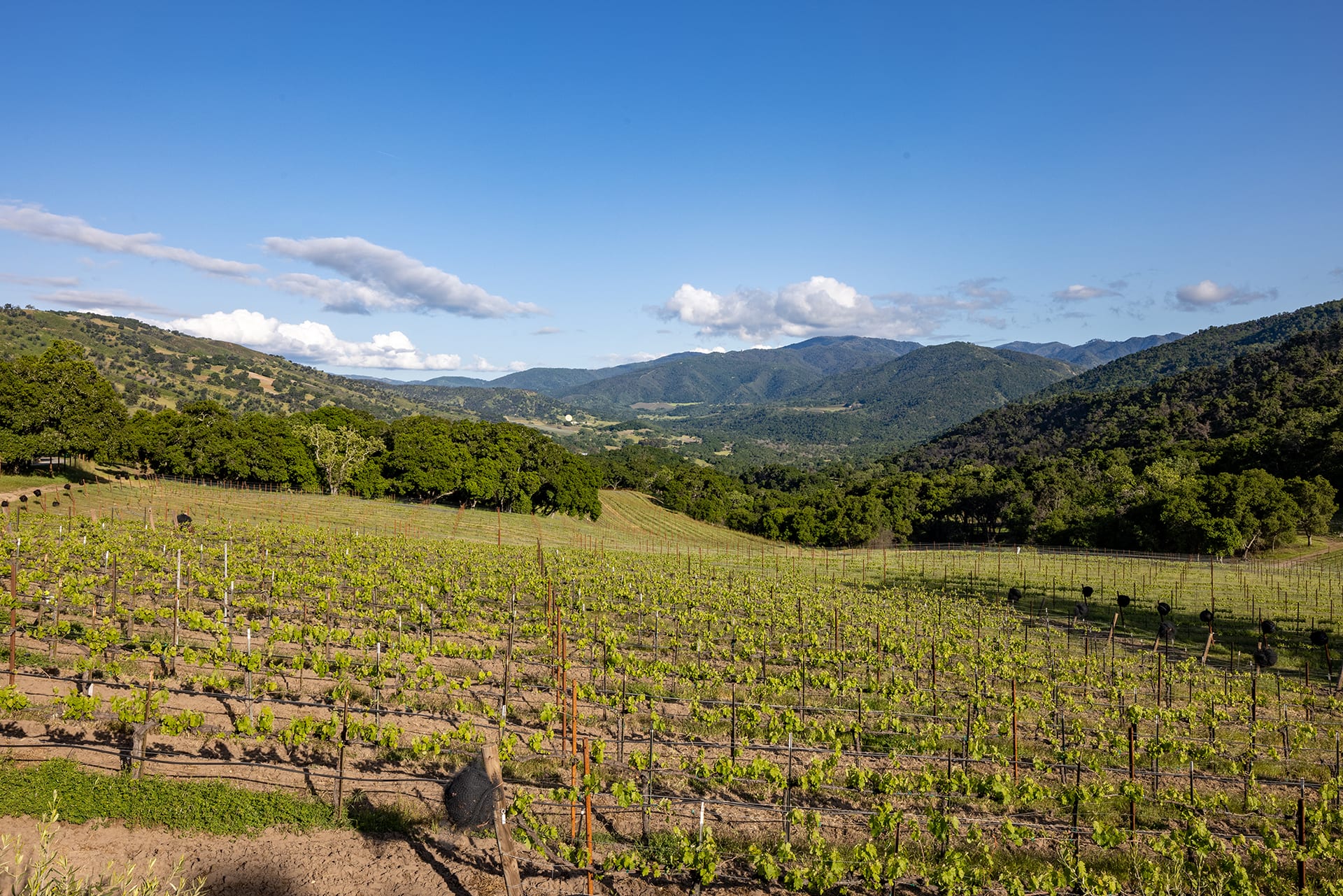 Wine Country Perfection - 17380 Cachagua Road
