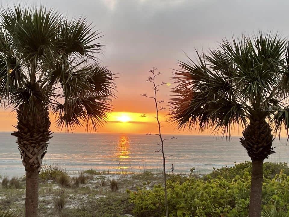 940 Gulf Blvd Unit 200