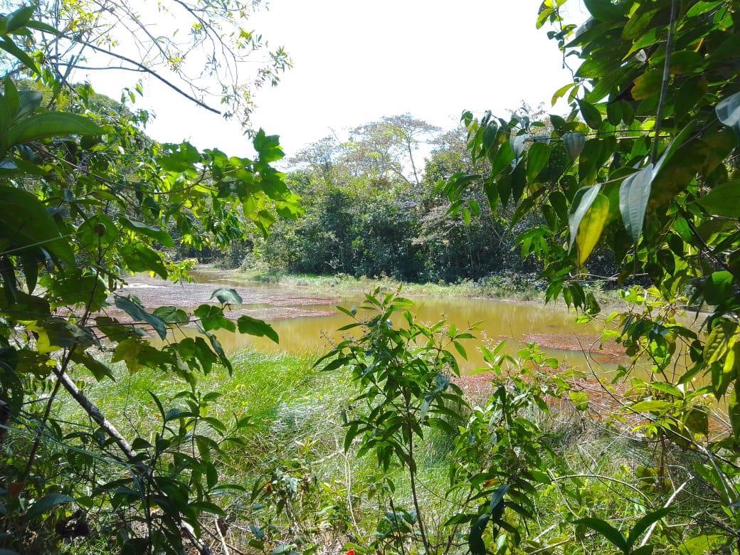 Mountain Fruit Farm Lagoon, Perez Zeledon, San Jose