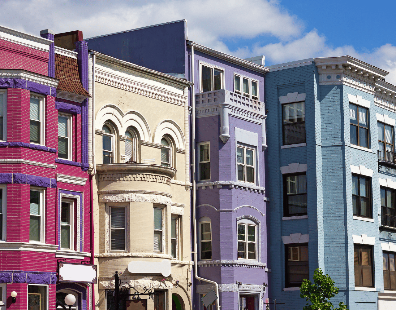 Cultural Diversity in DC Neighborhoods