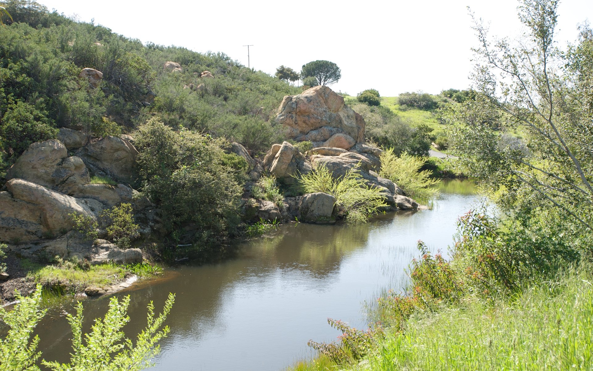 24683 Brown Latigo Rd