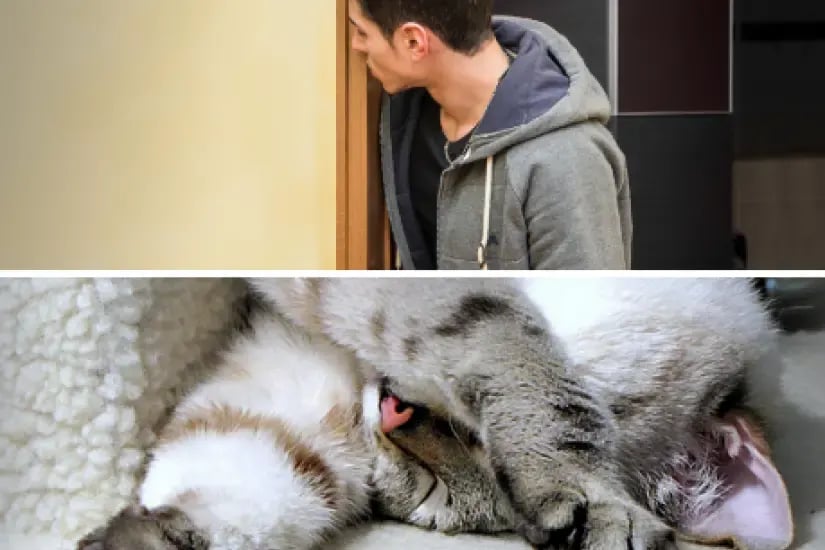 Selling (And Staging) With An Animal At Home: 3 Key Tricks