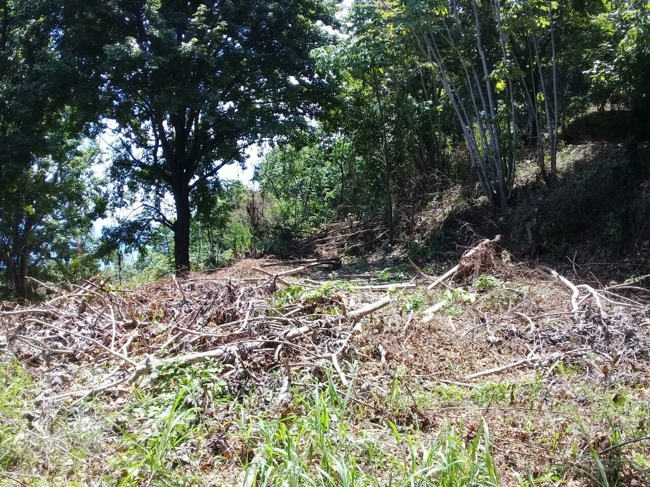 Exclusive Ocean View Development Site, Santa Teresa, Puntarenas
