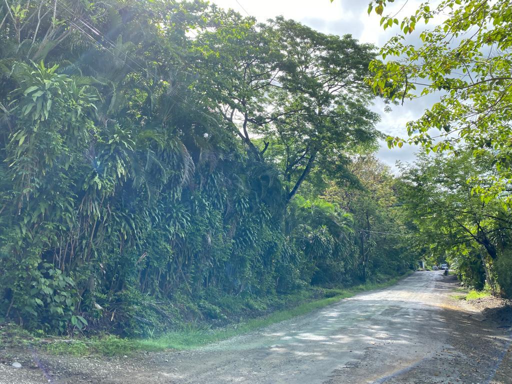 Oceanfront Development Parcel, Santa Teresa, Puntarenas