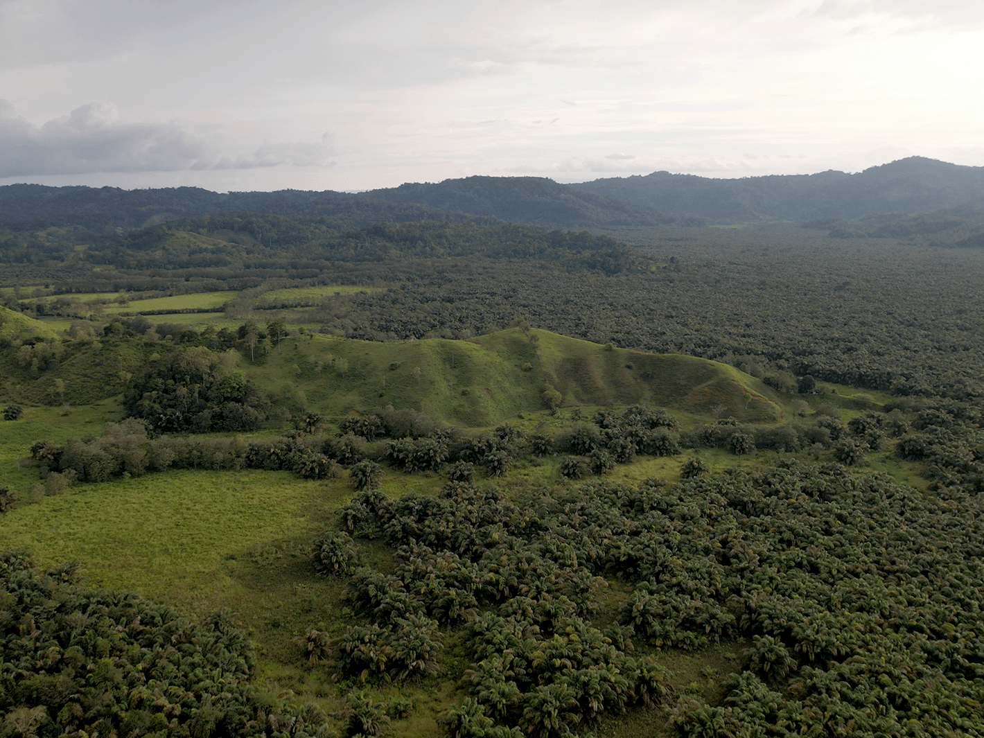 382 Acres of Sierpe River Wild Lands