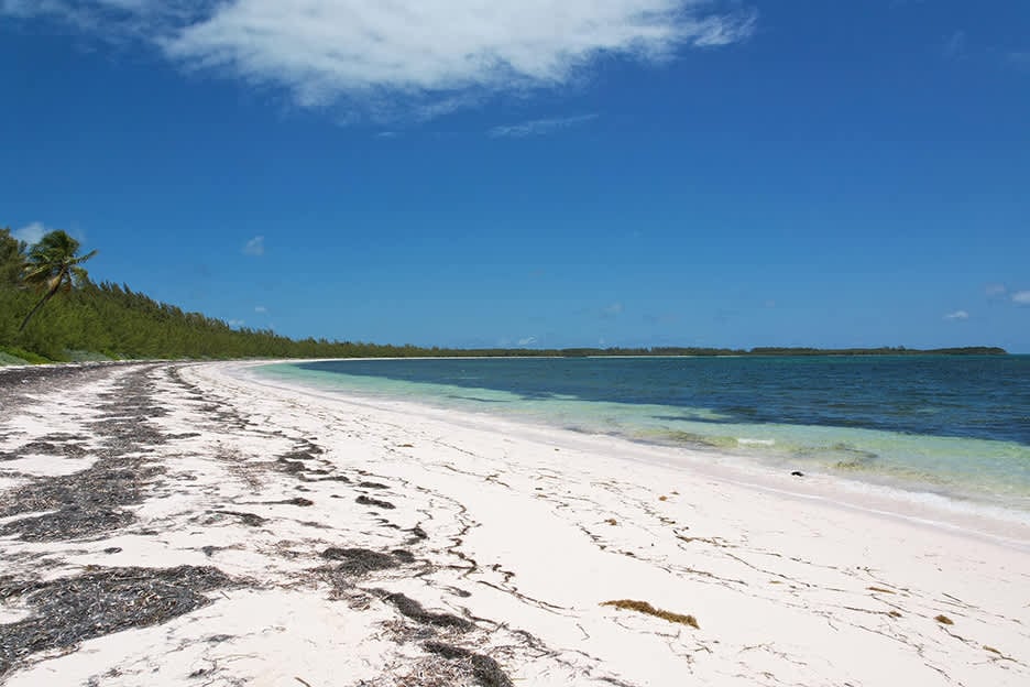 Prime Beachfront Development Site