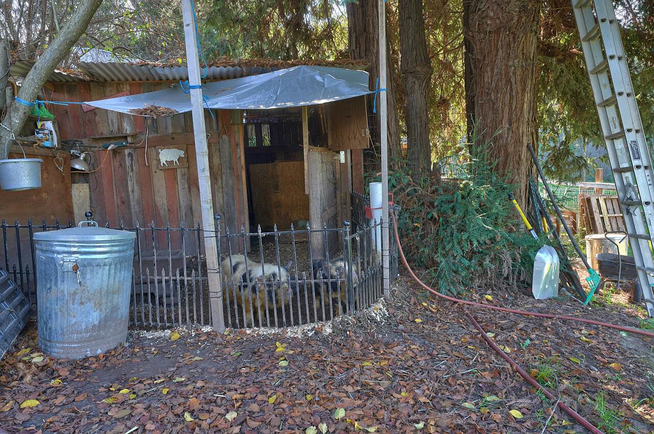 1084 San Miguel Canyon Rd